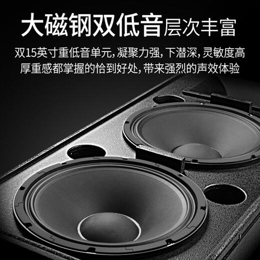 威斯汀（WESTDING）专业舞台全频音响套装大功率双15英寸无源音箱大型户外演出婚庆会议广场酒吧工程KTV演出 2018+9900+DSP800+K9S