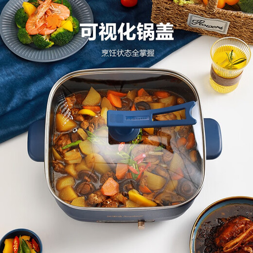 Rongshida electric hot pot 6L integrated household multi-functional cooking pot electric wok three-speed fire power adjustment electric heat pot grilled fish pot 6L Wuji temperature adjustment model