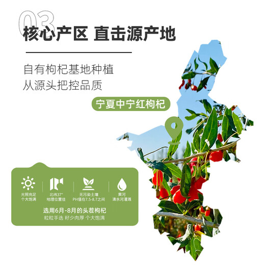 早康枸杞原浆1500ml【中宁红枸杞原浆30天饮用量】中宁小产区鲜枸杞原浆瓶装300ml*5盒（50ml*30瓶）