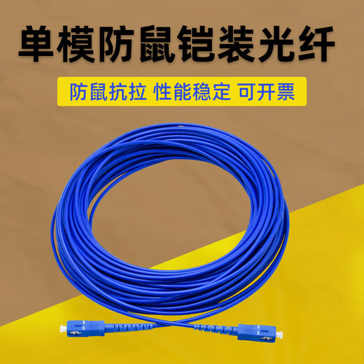 Armored optical fiber jumper SC to LC-FC-ST rat-proof and tensile single-mode single-core 10M/30/50m pigtail extension Telecom-grade armored single-mode single-core LC-ST 100m