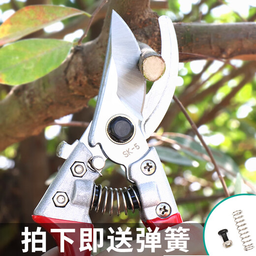 Stainless steel powerful gardening pruning shears for household use labor-saving flower pruning branches flower art scissors (14116) Stainless steel powerful pruning shears