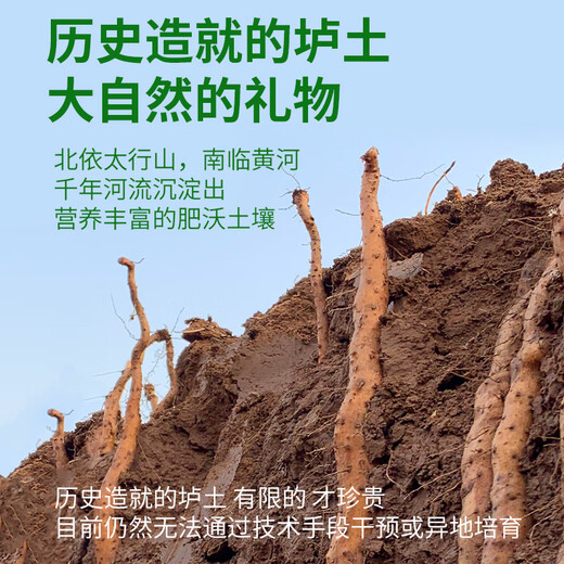 Zhang Baoshan Henan Jiaozuo organic iron bar yam net weight 3 Jin Jin is equal to 0.5 kg, straight from the source