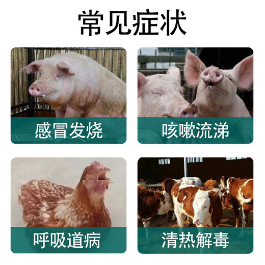 Fast Retailing New Shuanghuanglian Solution Veterinary Feed Additive for Pigs, Cattle, Sheep, Chickens, Ducks, Goose, Pigeons, Cold, Fever, Cough, Respiratory Diseases, 1 Bottle, 500ml, General Purpose for Poultry and Livestock #No Gift
