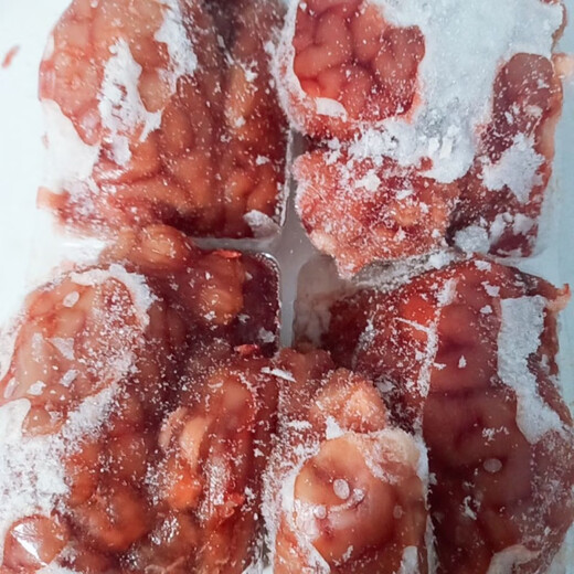 Jiluxian Sheep Brain Fresh Halal Sheep Brain Fresh Frozen Sheep Brain Marrow Brain Flower Fresh Sheep Brain Vacuum Raw Sheep Brain Whole Sheep Brain 1 Jin Jin is equal to 0.5 kg, about 5 pairs