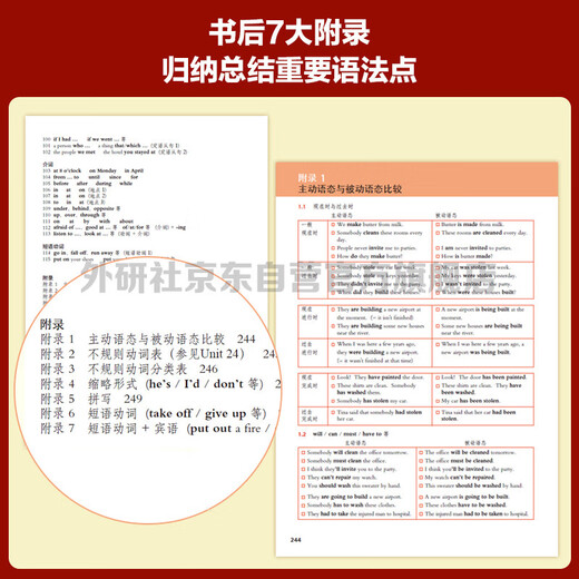 剑桥初级英语语法（剑桥“英语在用”English in Use丛书 第三版中文版）