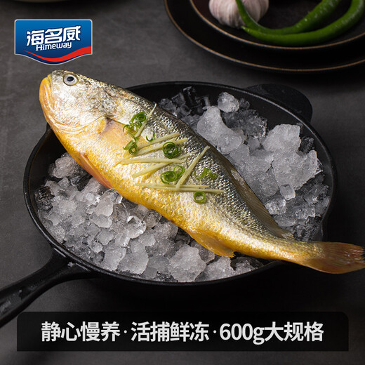 Haimingwei Frozen Ningde Yellow Croaker 600g/piece Large Yellow Croaker Deep Sea Fish Fresh Fish Seafood Mid-Autumn Festival Haimingwei Frozen Ningde Yellow Croaker 600g/piece Large Yellow Croaker Deep Sea Fish Fresh Fish Seafood Mid-Autumn Festival