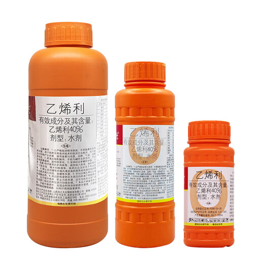 Guoguang Ethephon Ripening Agent Fruit Banana Mango Tomato Persimmon Growth Regulator Walnut Peel Peeling Pesticide 500g