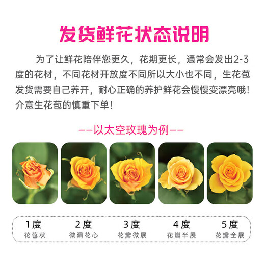 Jingdong Flowers Double 11 Yunnan Kunming base random color roses buy 20 and get 10 free with grass and flowers straight from the source