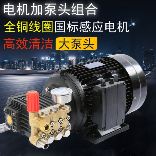 逐月高压清洗机电机加泵头组合商用洗车机220V380V增压陶瓷柱塞铜泵头 13803W 1kw 380v3.0千瓦-