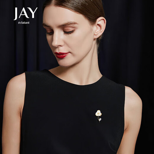 Jay flower anti-exposure brooch neck accessories give birthday gifts to mother-in-law and elders