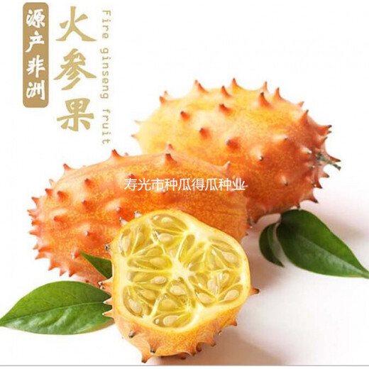 Fire ginseng fruit Mars fruit kiwi fruit thorn melon fruit seeds spring and summer climbing vines four seasons balcony potted field 20 capsules