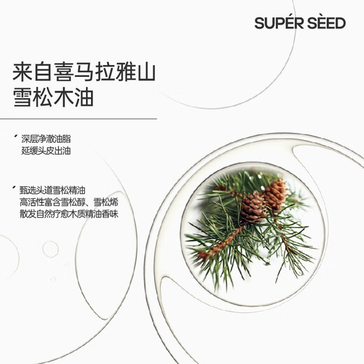 Super Seed Cedar Shampoo 300g Clean Scalp Shampoo Refreshing Oil Control Anti-dandruff Fluffy and Smooth Popular Products