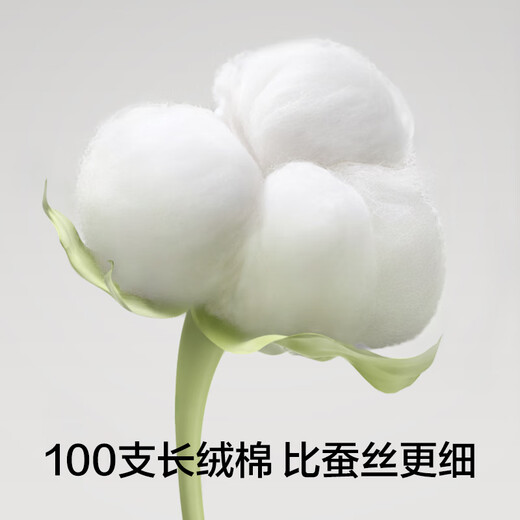 有棵树女士内裤女7A抗菌裆新疆棉中腰无痕透气少女生四季款三角短裤 【100支棉】白+白+绿+绿 4条 L