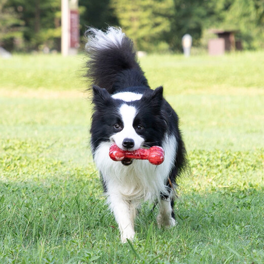 GiGwi dog toys, candy, sound bones, teeth grinding, bite-resistant, and relieve boredom, dog toys, pet toys for medium and large dogs