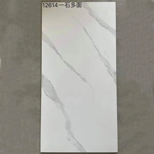 维诺亚600x1200仿古地砖防滑客厅水泥灰仿古砖工业复古风极简风哑光地面 12611