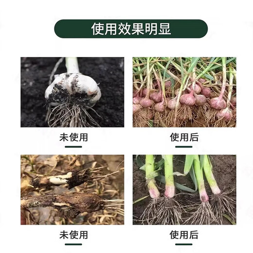 蒜菌清原液大蒜专用药微生物菌剂源液正品枯叶黄叶干尖抗病杀菌剂 三瓶装【买2送1】