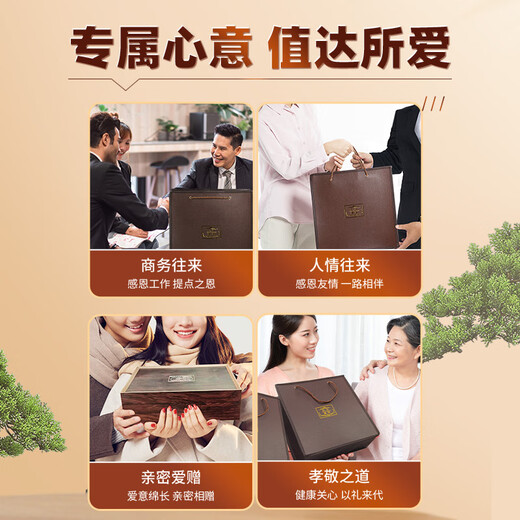渭水鸿 冬虫夏草礼盒4根/克(2.5g)10管【父亲节】送父母长辈实用礼品