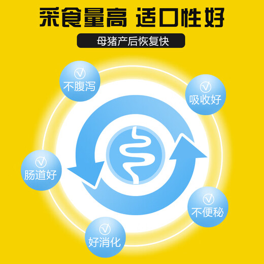 East China Zhengda 8% lactation pregnant gilt premix increases milk production, timely estrus, no constipation and fast recovery 8% pregnant sow 1 bag