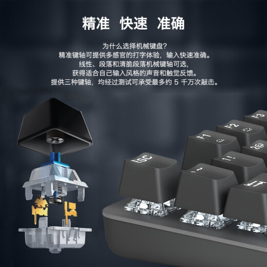 罗技（logitech）K845机械键盘LINE FRIENDS联名机械键轴有线机械键盘电竞游戏台式外接笔记本电脑卡皮巴拉键盘礼物 【K845露营之夜限定礼盒】茶轴