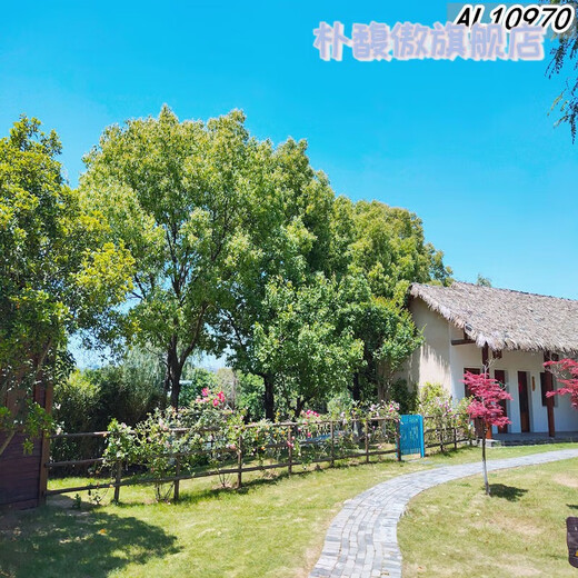 新直播背景视频直播间主播山水田园外景快手抖音网红背景布 11149 宽2米高2.5米