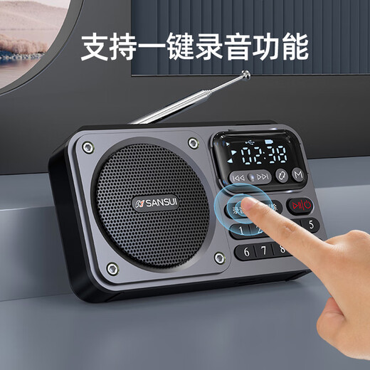 山水（SANSUI）M30老人收音机老年人充电插卡音乐播放器迷你小音箱便携式随身听FM调频广播音响蓝牙音箱 灰色