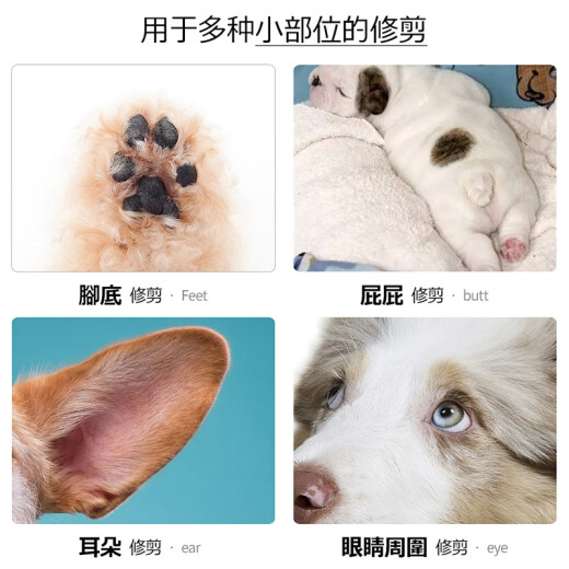 Huayuan Pet Equipment (hoopet) dog foot shaver, pedicure trimmer, Teddy shaver, cat sole shearer, shaving machine, pet electric clipper