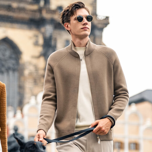 
Mr. Cloth Half High Neck Zipper Pure Cotton Knit Cardigan Autumn Men's Ragsleeves Jacket Knit BT12352 Birch Green 2XL (185)