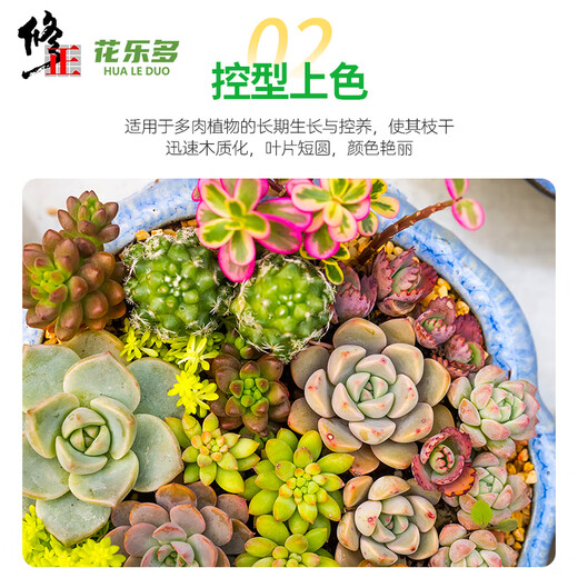 Modified Hualeduo succulent soil special granular soil 70% succulent nutrient soil paving stone seedlings into old piles general type 5Jin Jin equals 0.5 kg