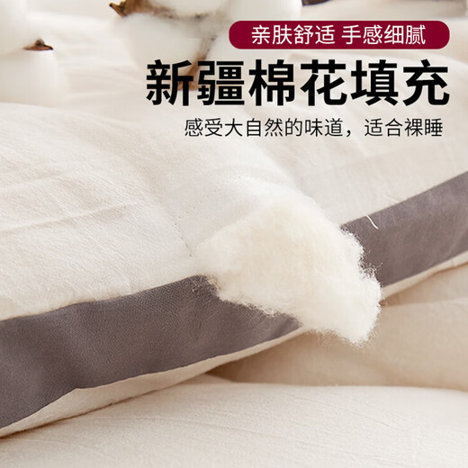 Antarctic human A type of antibacterial 100% Xinjiang cotton quilt, autumn and winter quilt core, 6 Jin [Jin equals 0.5 kg] 200*230cm