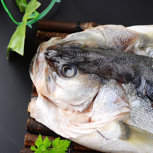 Sandu Port Frozen Sanlu Sea Bass 1Jin Jin is equal to 0.5kg 1 piece (free package) Deep sea fish Fresh fish Seafood New Year's goods