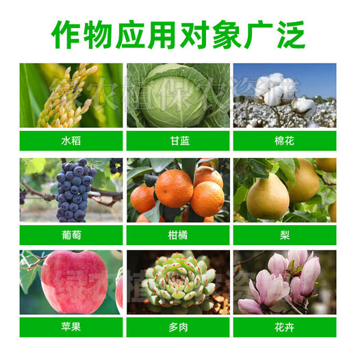 Guoguang Pesticide Naphthalene Acetate Plant Growth Regulator Flower Preservation and Fruit Preservation Medicine Prevent Fruit Falling Fruit Tree Flower and Fruit Treasure 100ml