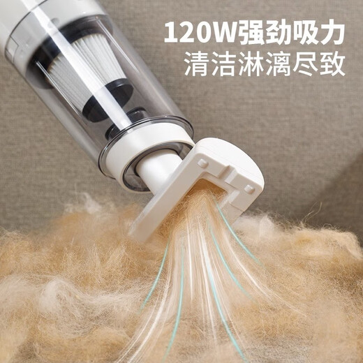 Chengyang pet electric hair removal hair cleaning bed carpet dog hair cat hair household sticky hair vacuum cleaner shaver