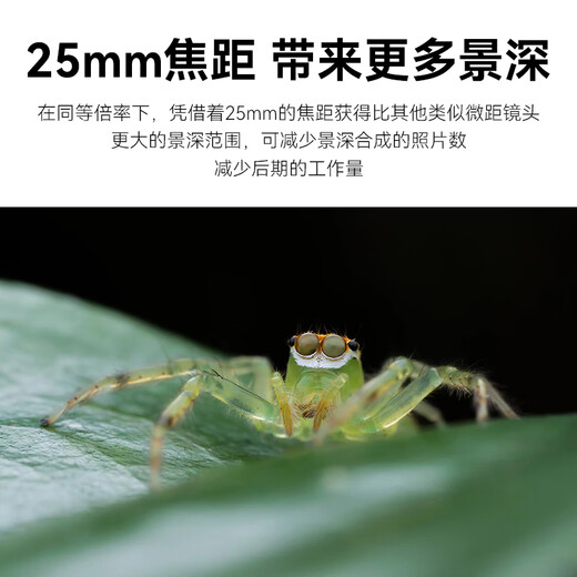 Rockstar 25mmF2.8 full frame 5x magnification super macro lens for shooting insect specimens and flowers Sony E-mount official standard (single lens)