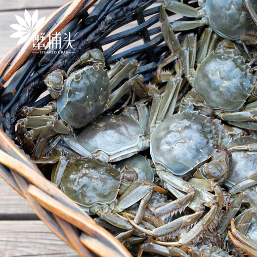 [Certificat-cadeau] Crabe Crab Crab Card Gift Collection Crab Coupon Crab Card Exchange Coupon Pickup Card Hoiley Crab Goiner Type 698 FEMME CRABLE FEMME FEMME 2,0 TOUTQUE PACK 10