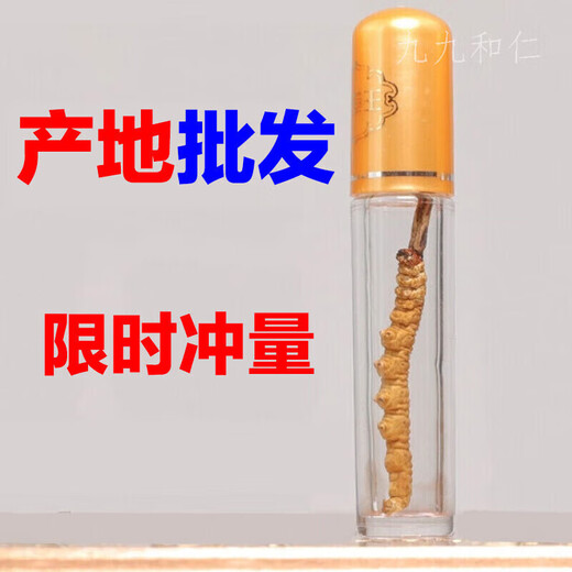 伊梵麦【产地批发】冬虫夏草 正宗新货虫草头期 冬虫草 断草 断 一根(体验装)