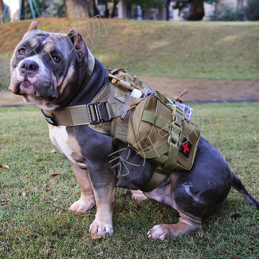 宠物户外背包拉力包自驮包战术包中大型犬马犬金毛恶霸斗牛自背包 黑色带小包 M适合30-60斤