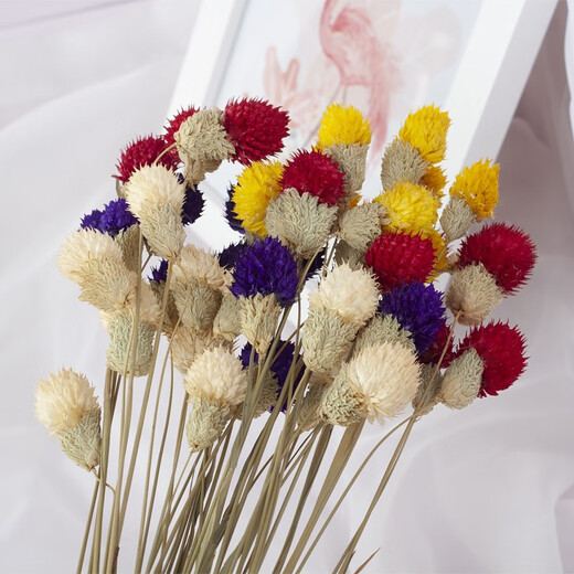 Dried flower bouquet, plant dried flowers, real flowers, immortal flowers, forget-me-not dried flowers, multi-color strawberry fruits, dried flowers, office living room coffee table, dining table display, decorative art flower arrangement, small bouquet, 12 red strawberry fruits (not including vase)