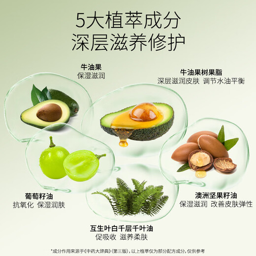 Hippidog pet paw cream for dry and cracked paws, dog cleaning and foot care cream, cat paw care cream, 7g pet care cream