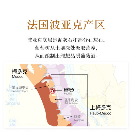 圣芝（Suamgy）G680波亚克AOC 赤霞珠干红葡萄酒 750ml 单瓶装 法国进口红酒