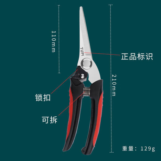 Flowers and scissors, sparse flowers, fruits and scissors, floral scissors, household flowering scissors, pruning scissors, gardening scissors, grapes, round style #T9853