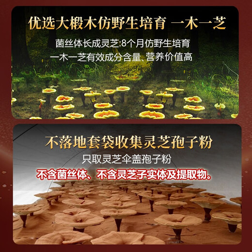 元生泰高三萜灵芝孢子油软胶囊赤灵芝孢子粉精华中老年人营养品保健品 24粒*15盒（季度量）