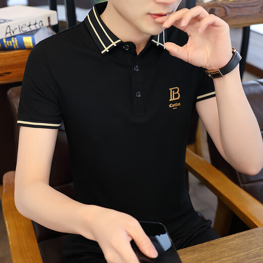 OUMEITI Summer Turny Silk Lapa de seda Polos de camiseta para hombres para hombres 2025 Nuevo estilo con cuello de manga corta QDT-P717 Black XL (130-145Jin [Jin equivale a 0.5 kg])