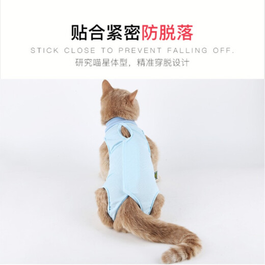 Tiffany cat sterilization surgery clothing, post-operative anti-licking clothing, female cat surgical clothing, weaning clothing, menstrual clothing, upgraded comfortable anti-escaping postoperative recovery clothing, pink M (suitable for 7 Jin [Jin equals 0.5 kg])