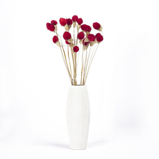 Dried flower bouquet, plant dried flowers, real flowers, immortal flowers, forget-me-not dried flowers, multi-color strawberry fruits, dried flowers, office living room coffee table, dining table display, decorative art flower arrangement, small bouquet, 12 red strawberry fruits (not including vase)