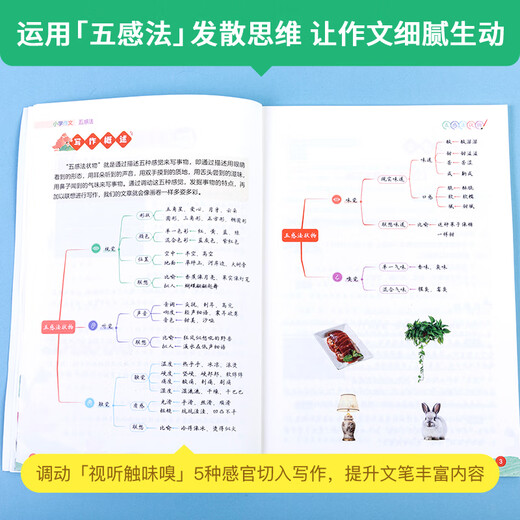 [Version authentique officielle - Matchage direct de Jingcang] Le maître académique ne vous dira pas tous les 2 livres du calcul intelligent et des conseils de calcul rapide. Compétences de calcul intelligentes des mathématiques élevées. Calcul des mathématiques du primaire Calcul des compétences de résolution de problèmes Fraction des mots d'anglais à l'école primaire 1 300 élèves à grosses têtes. Orthographe naturelle et mémorisation des mots. Les devoirs aident la méthode de la formule de compréhension de la lecture chinoise de l'école primaire.