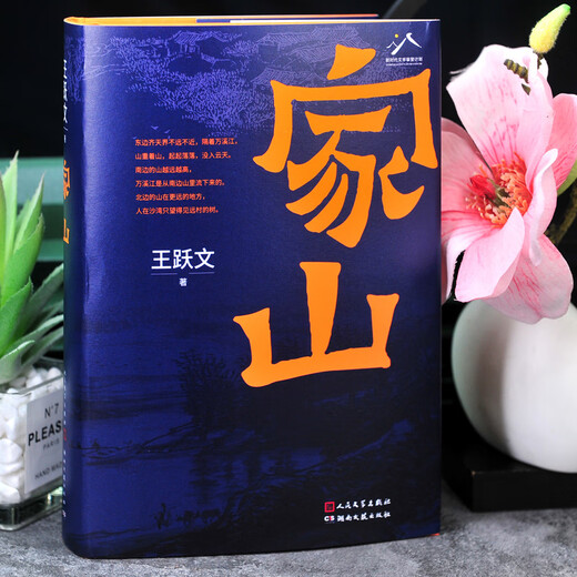现货正版新书699页家山书王跃文著 作家王跃文Z新长篇小说力作 我 版社 家山
