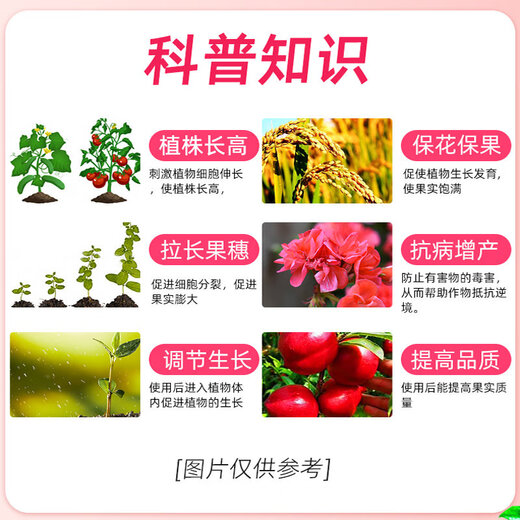 Senhuo 4% gibberellic acid growth regulating gibberellin 920 rooting, seedling, flowering, fruit expansion, fruit flowering and germination medicine 80ml*1 bottle