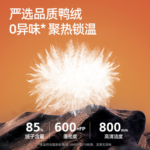 骆驼（CAMEL）男装羽绒内胆秋冬季城市轻户外加厚三合一冲锋衣外套男M34CATG698