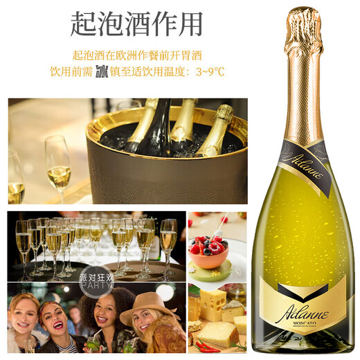 Artianne Italie importée Vin étincelant Champagne Type