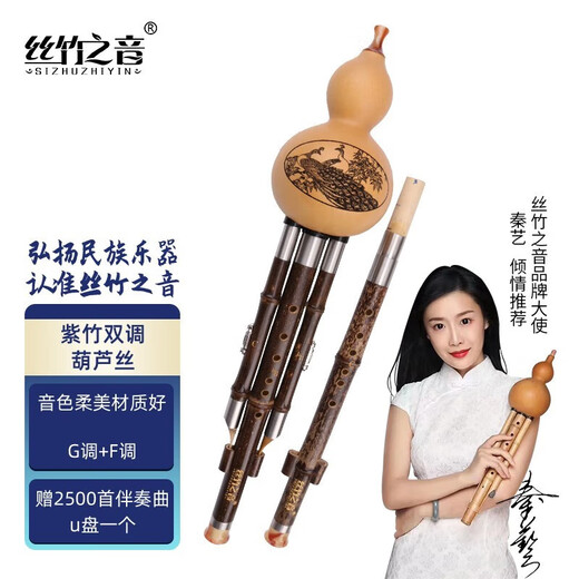 丝竹之音葫芦丝紫竹云南民族吹奏乐器成人儿童学生专业演奏葫芦丝防摔双管 G调+F调